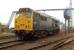Click HERE for full size picture of 31205
