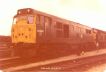 Click HERE for full size picture of 31304