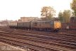 Click HERE for full size picture of 31407