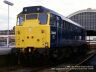 Click HERE for full size picture of 31442