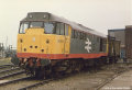 Click HERE for full size picture of 31205